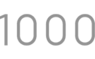 1000 Skis